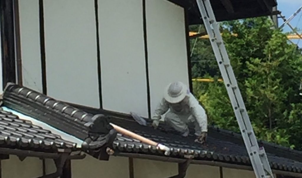 佐久市での蜂の巣駆除：２週間放置していたらすごい大きさに！【長野】