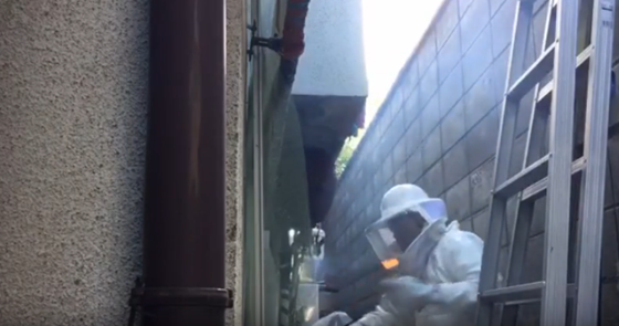 松本市：蜂の巣駆除のご依頼！エアコンの室外機の下に巣が！？